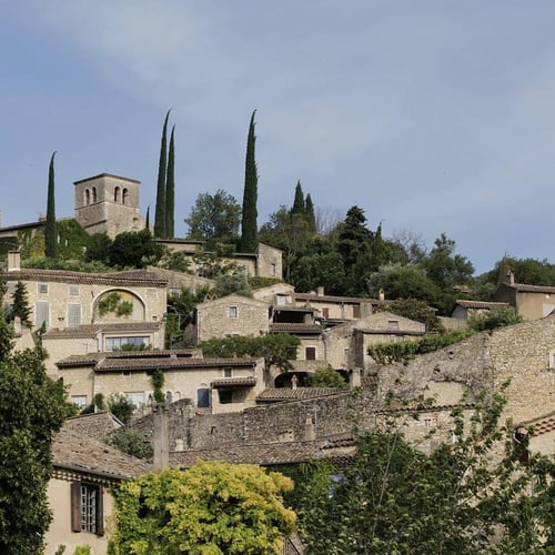 Les Sésameries de Mirmande 5