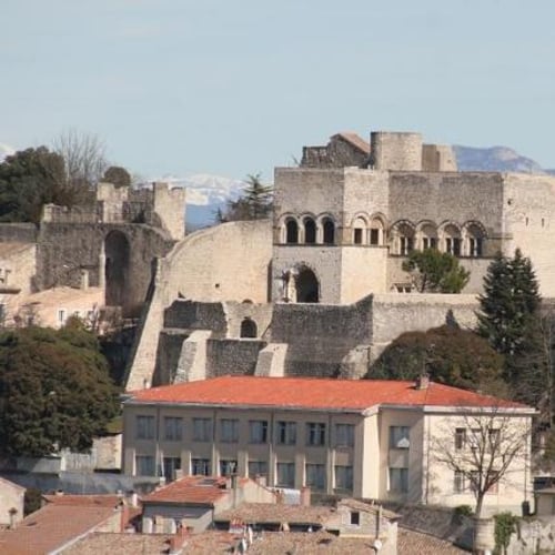 Château des Adhémar - centre d'art contemporain 1