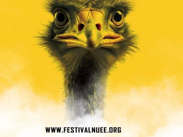 Festival Nuée