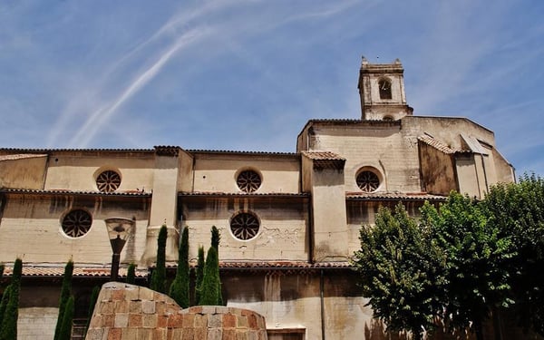 Collégiale Sainte-Croix