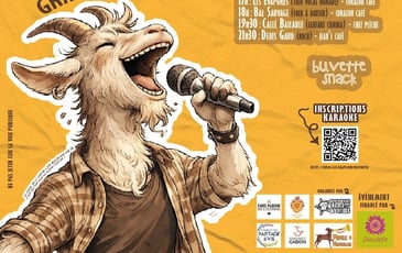 Concerts Fête de la musique