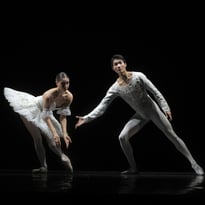 Secrets du Ballet