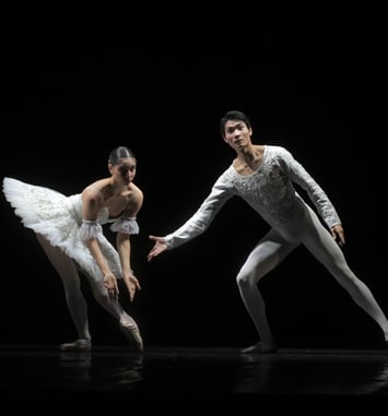 Secrets du Ballet