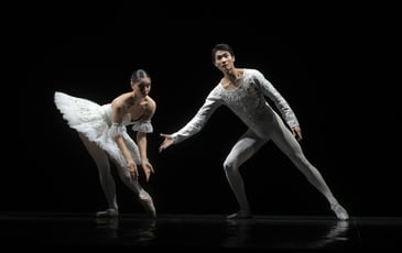 Secrets du Ballet