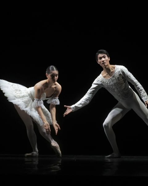 Secrets du Ballet