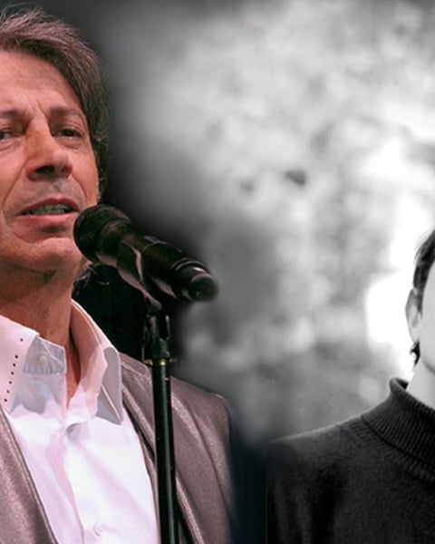 Hervé Vilard