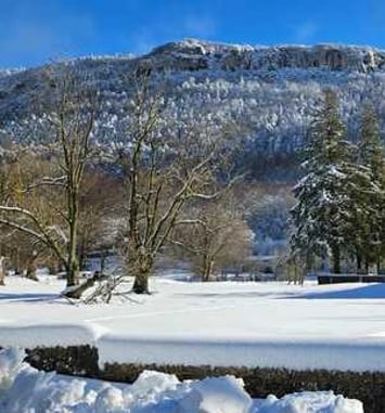 Visites guidées de l'abbaye de Léoncel