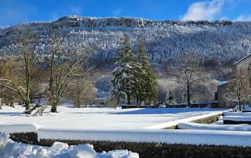Visites guidées de l'abbaye de Léoncel