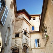 Visite guidée de l'Hotel de Clerieu