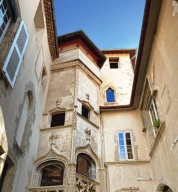 Visite guidée de l'Hotel de Clerieu