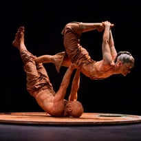 Kinetic Art et Humus
