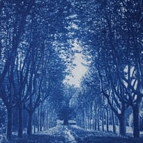 Atelier cyanotype