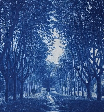 Atelier cyanotype