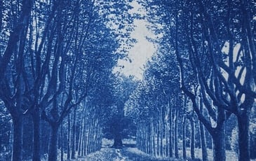 Atelier cyanotype