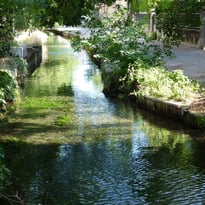 Visites commentées des canaux et zones humides de Valence
