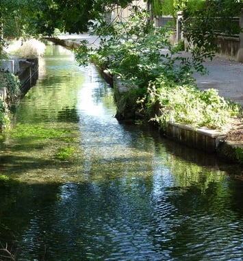 Visites commentées des canaux et zones humides de Valence