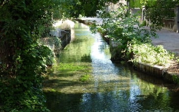 Visites commentées des canaux et zones humides de Valence