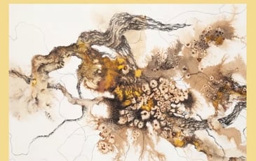 Exposition de Charlotte Rodon : " Récits des sols "