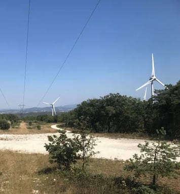 Visite guidée sous les éoliennes de La Roche-sur-Grane