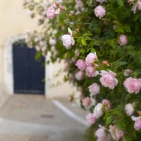 Visite du parc du Château de Donzère