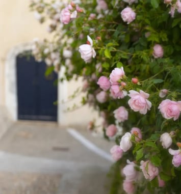Visite du parc du Château de Donzère