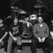 cancer bats