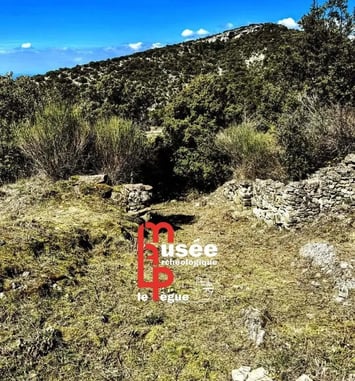 Visite commentée de l'oppidum et de la chapelle Saint Marcel du Pègue
