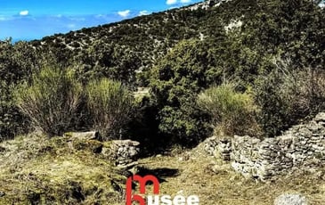 Visite commentée de l'oppidum et de la chapelle Saint Marcel du Pègue