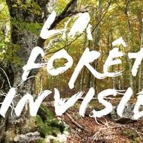 La forêt invisible