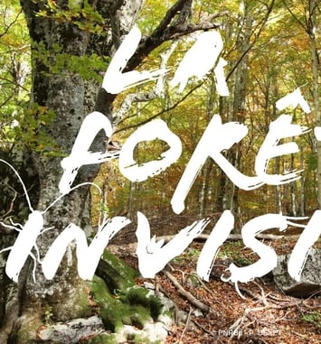 La forêt invisible