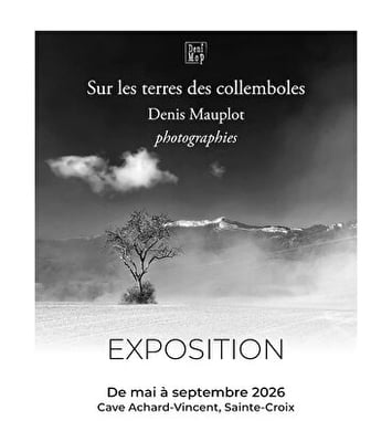 Exposition - Sur les terres des collemboles