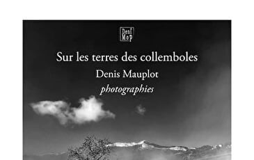 Exposition - Sur les terres des collemboles