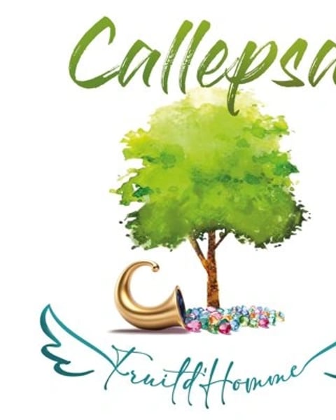 Callepsa Duo acoustique
