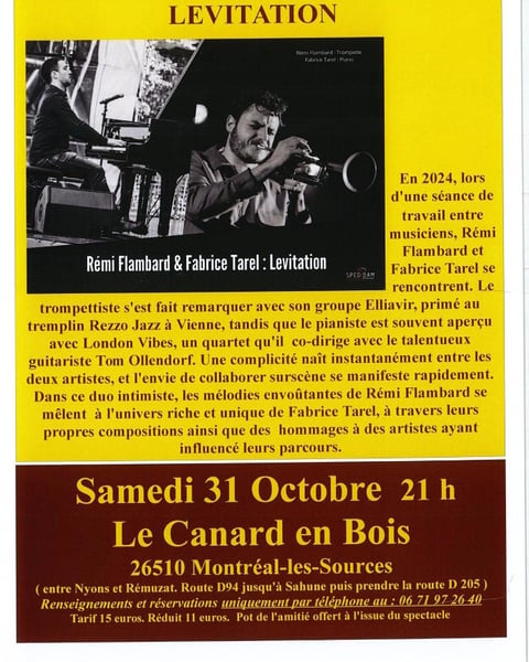 Jazz Levitation - Le Canard en Bois